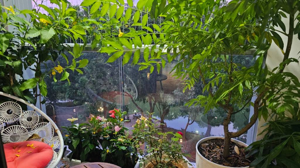 View bên ngoài dự án của Căn hộ chung cư Bán tại Celadon City