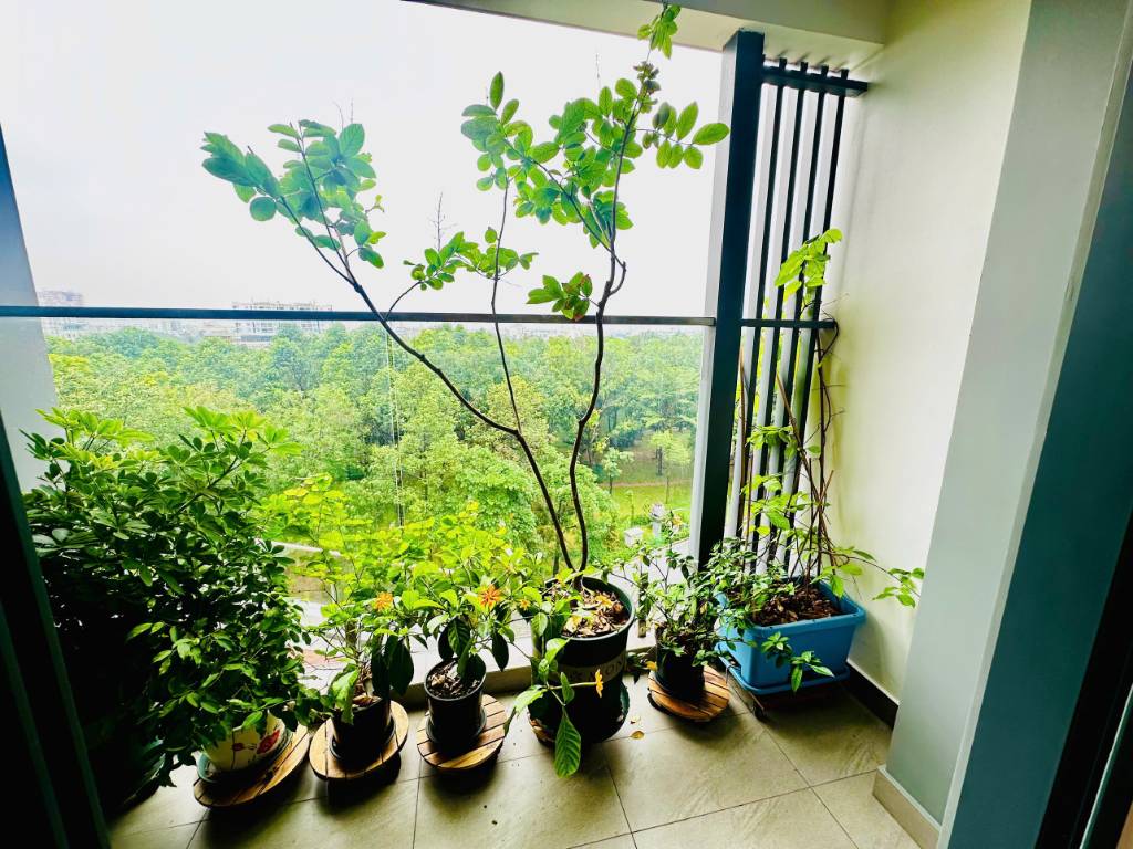 Ban công của Căn hộ chung cư Bán tại Celadon City